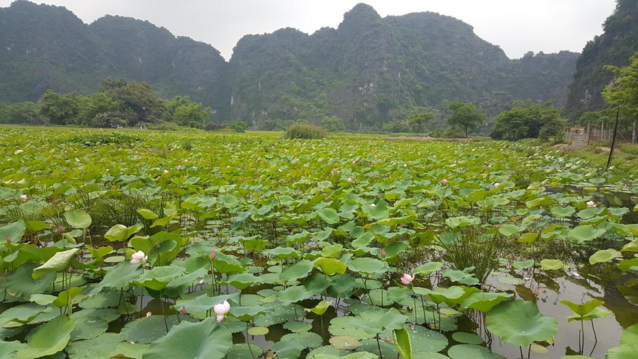 Hoalu Ecolodge Homestay Ninh Binh Exterior foto