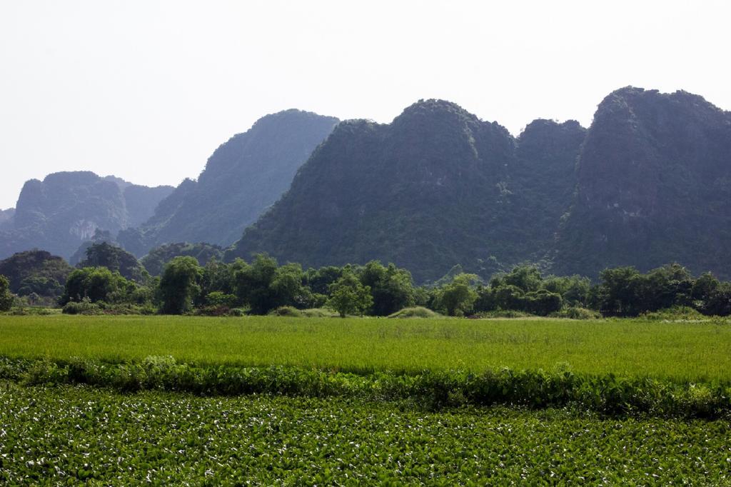 Hoalu Ecolodge Homestay Ninh Binh Exterior foto